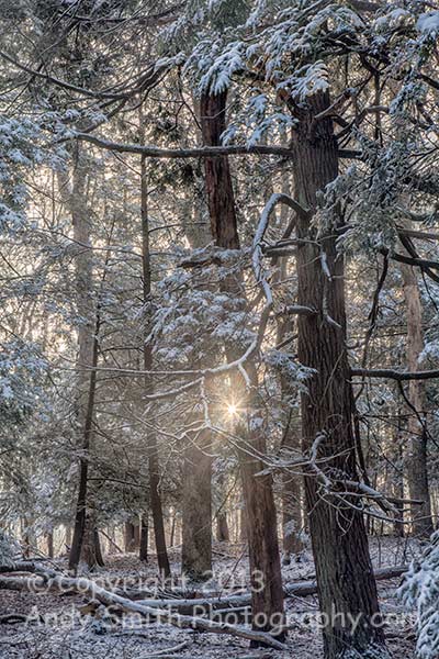 Christmas Morning in Swartswood State Park